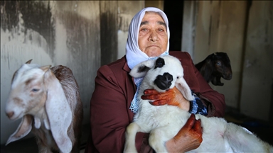 Şehit annesi biberonla beslediği "yavrularının" evindeki yangından kurtarılmasıyla teselli buldu