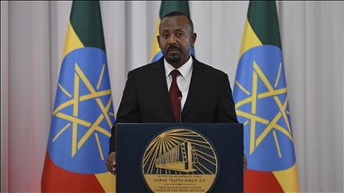 Etiopski premijer izjavio da je tokom Erdoganove posjete tražio podršku Turske za pristup moru