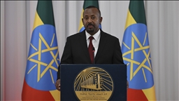 Ethiopian premier says he sought Türkiye’s diplomatic support on sea access during Erdogan's visit