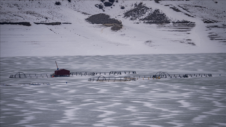 Erzurum'daki Demirdöven Barajı'nın yüzeyi buz tuttu