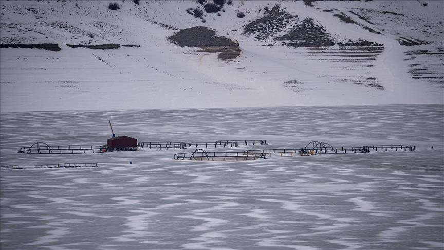 Rûyê Bendava Demirdovenê ya li Erziromê qerisî