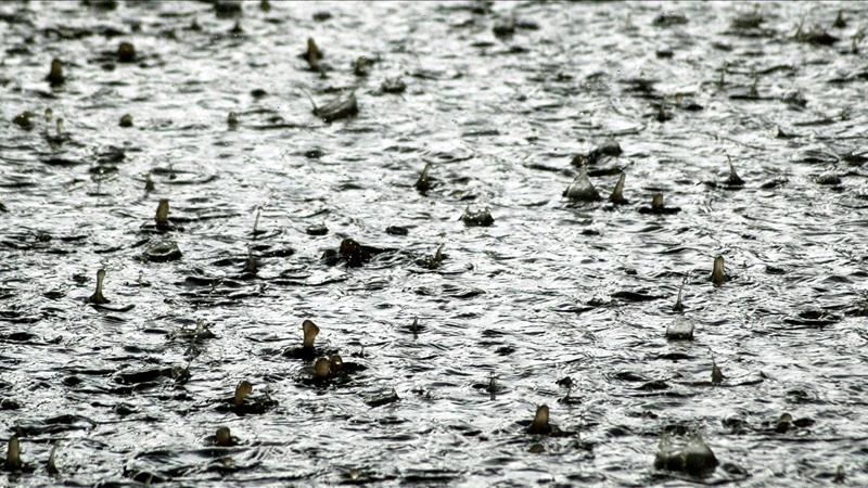 Rainwater harvesting saves water, prevents disasters: Expert