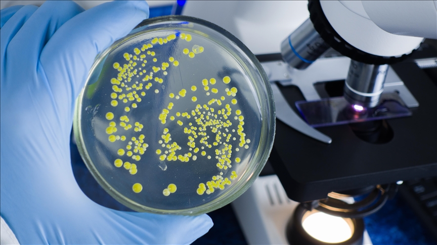 U ledenoj pećini u Rumuniji pronađena 5.000 godina stara bakterija otporna na antibiotike 