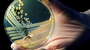 Baktere 5.000-vjeçare rezistente ndaj antibiotikëve zbulohen në një shpellë akulli në Rumani