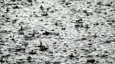 Rainwater harvesting saves water, prevents disasters: Expert