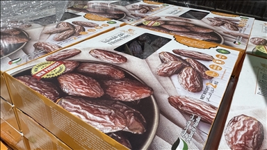 نقابيان فلسطينيان يحذران من تسويق تمور إسرائيلية على أنها فلسطينية 