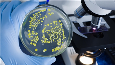 U ledenoj pećini u Rumuniji pronađena 5.000 godina stara bakterija otporna na antibiotike 