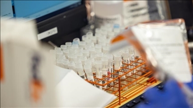 2 Polish teens test positive for dengue fever after trip abroad