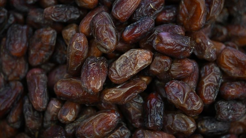 فرنسا.. "يورو فلسطين" تدعو لمقاطعة التمور ذات المنشأ الإسرائيلي 