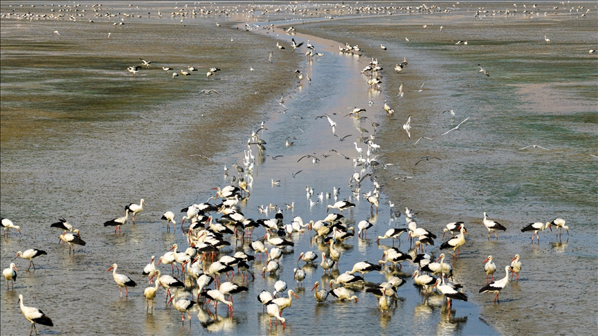 Health, environmental groups sue EPA over repeal of climate science funding