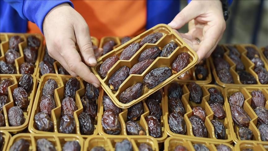 grupi-europalestine-ne-france-ben-thirrje-per-bojkotimin-e-hurmave-nga-vendbanimet-izraelite