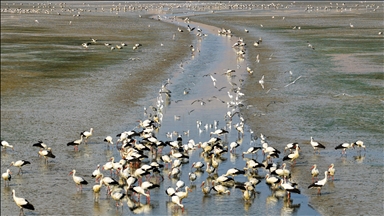 Health, environmental groups sue EPA over repeal of climate science funding