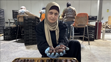 Israeli dates allegedly being sold in European market under different labels
