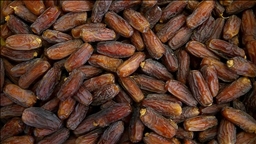 بانگەشەی ئەوە دەکرێت ئەو خورمایانەی سەرچاوەکەیان ئیسرائیلە بە لیبڵی جیاوازەوە لە بازاڕەکانی ئەورووپادا دەفرۆشرێن