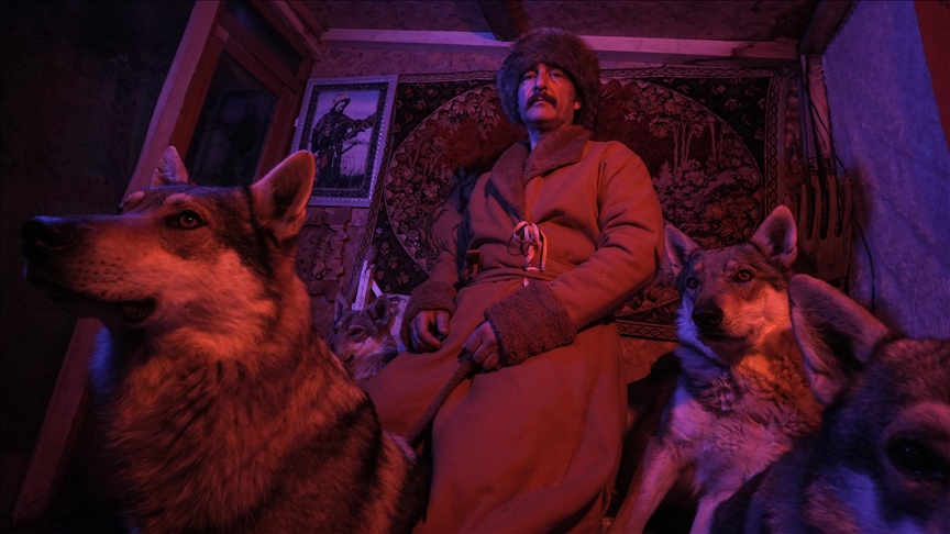 Од градска ординација до дивината: Турчин живее со волчјаци на –30 степени