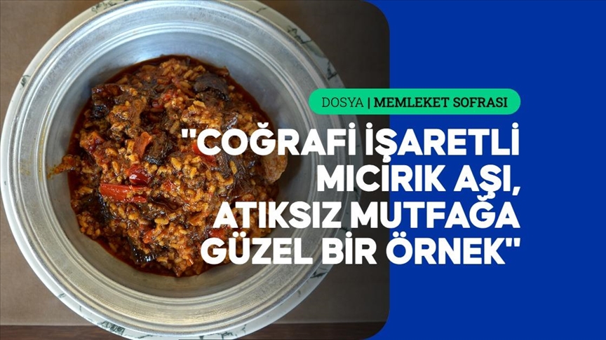 Gaziantep mıcırık aşı
