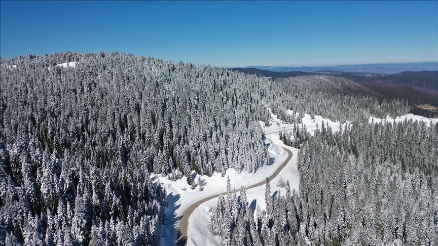 Li Çiyayê Ilgazê dîmenên daristanên ku piştî barîna berfê spî nixumîn bi dronê hat kişandin