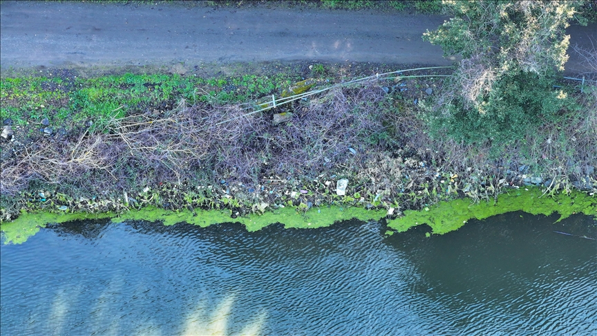 Elmalı Barajı'nın kıyısındaki atıklar çevre kirliliğine neden oldu