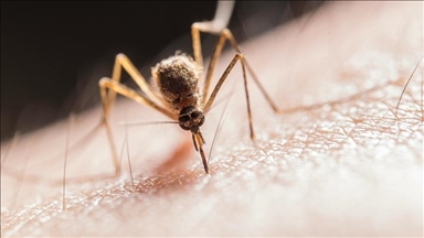 Burkina Faso : Baisse de 48% des décès liés au paludisme en 2025