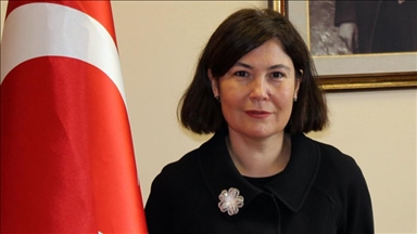 Güney Afrika, Türk firmaları için Sahra Altı'na açılan ihracat üssü olma potansiyeli taşıyor