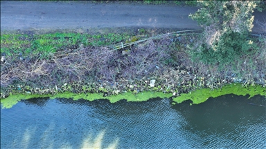 Elmalı Barajı'nın kıyısındaki atıklar çevre kirliliğine neden oldu