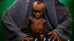 ООН: миллионы жителей Сомали находятся под угрозой нарастающего голода