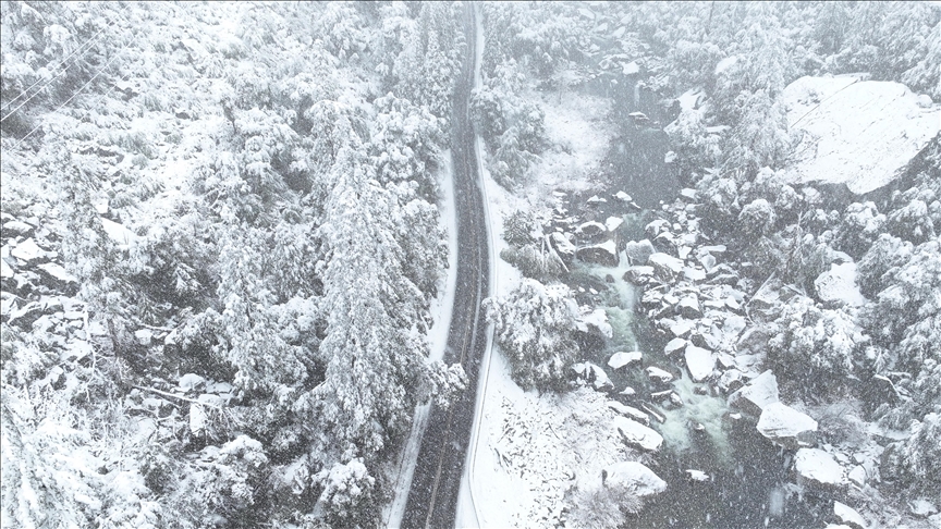 Deadly week on California slopes: 2 more skiers killed at US resort