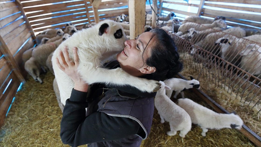 thumbs_b_c_2eb11b4a287ef2831e8afa1b86c10803 Çiftçilere Faizsiz Kredi ve 100 Küçükbaş Desteği 🐑 Aylık 15.000 TL Ödeme Başlıyor!