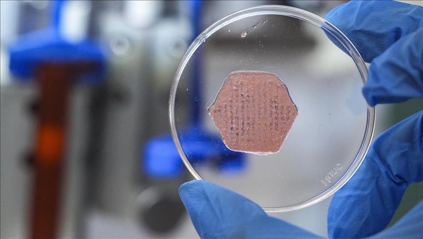 İzmir'de geliştirilen "yara örtüsü" kronik yaralar için umut olacak