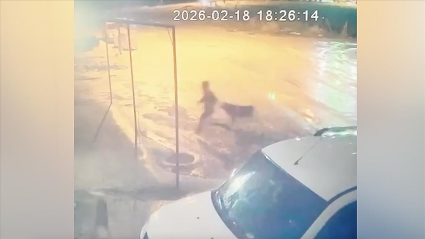 Adıyaman'da sahipsiz köpeklerin saldırısına uğrayan çocuğu çevredekiler kurtardı