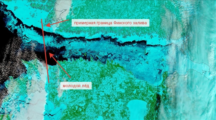 Финский залив полностью покрылся льдом