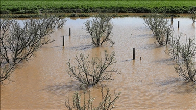 Manisa'da sağanak ve fırtınanın ardından hasar tespit çalışmaları sürüyor