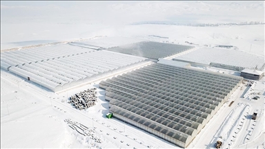 Ağrı'daki Diyadin Jeotermal Isıtmalı Sera OTB'nin altyapı çalışmaları tamamlandı