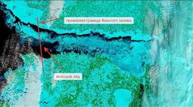 Финский залив полностью покрылся льдом