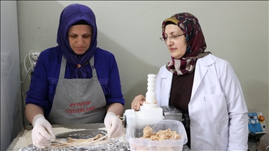 Kadın girişimci yuvalamayı KOSGEB desteğiyle seri üretime taşıdı