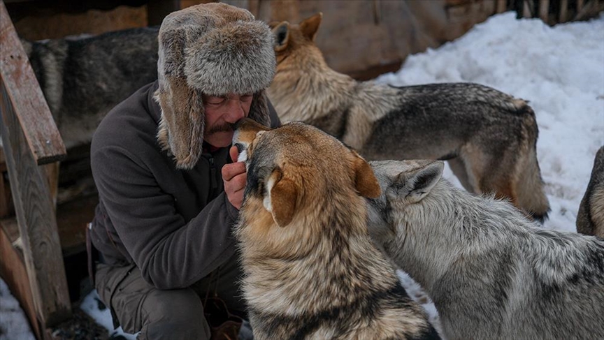 Turqi  54 vjeçari jeton në stepën e Sivasit me qentë ujqër çekosllovakë dhe shpendë grabitqarë