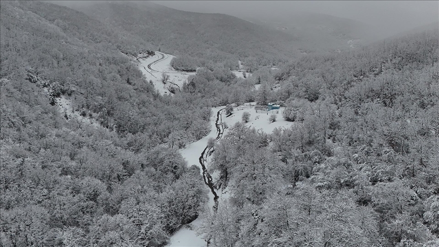 Tekirdağ'da karla kaplanan ormanlar güzel görüntü oluşturdu