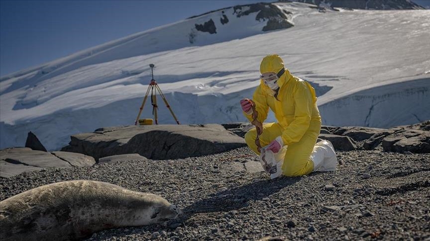 في قلب الجليد.. علماء أتراك يستكشفون حلولا صحية وزراعية 