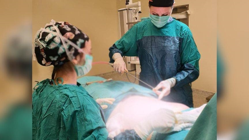 Dr. Zumreta Rizvanović otkriva: Ko su idealni kandidati za liposukciju