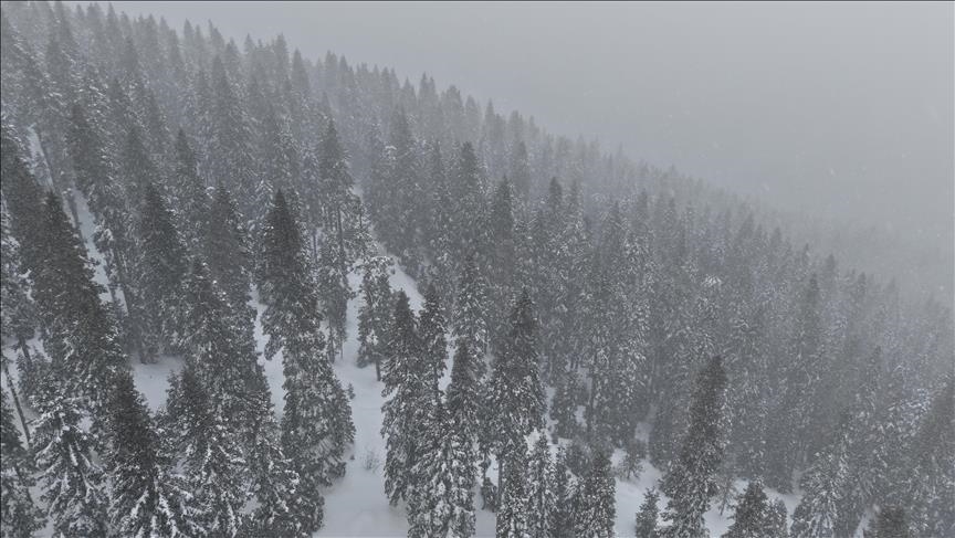 Li Çiyayê Ilgaz berf dibare û mij çêbû