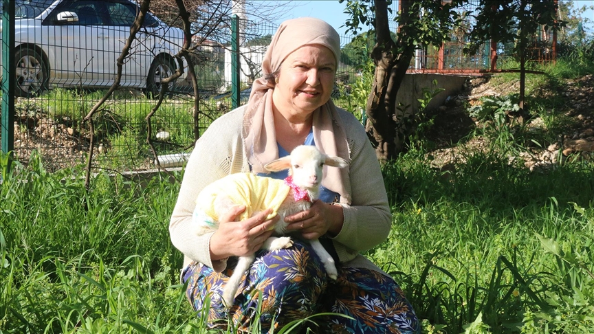 Yanından ayırmadığı kuzusunu parka da misafirliğe de götürüyor