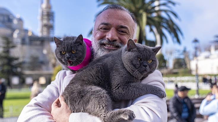 على كتف صاحبه.. قط يجوب معالم إسطنبول وصغيرته تلتحق بالمغامرة (تقرير)
