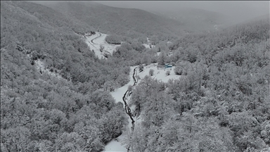 Tekirdağ'da karla kaplanan ormanlar güzel görüntü oluşturdu