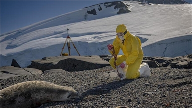 في قلب الجليد.. علماء أتراك يستكشفون حلولا صحية وزراعية 