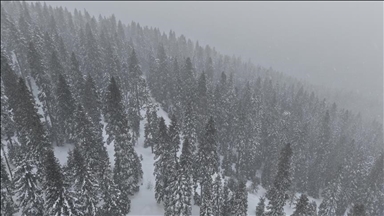 Li Çiyayê Ilgaz berf dibare û mij çêbû