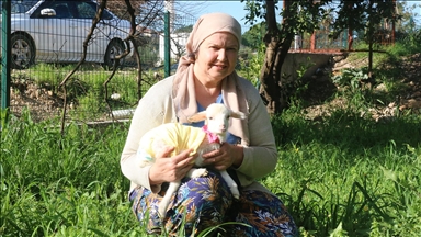 Yanından ayırmadığı kuzusunu parka da misafirliğe de götürüyor
