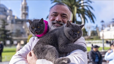 على كتف صاحبه.. قط يجوب معالم إسطنبول وصغيرته تلتحق بالمغامرة 
