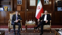 إيران ووكالة الطاقة الذرية تبحثان تطورات مفاوضات جنيف