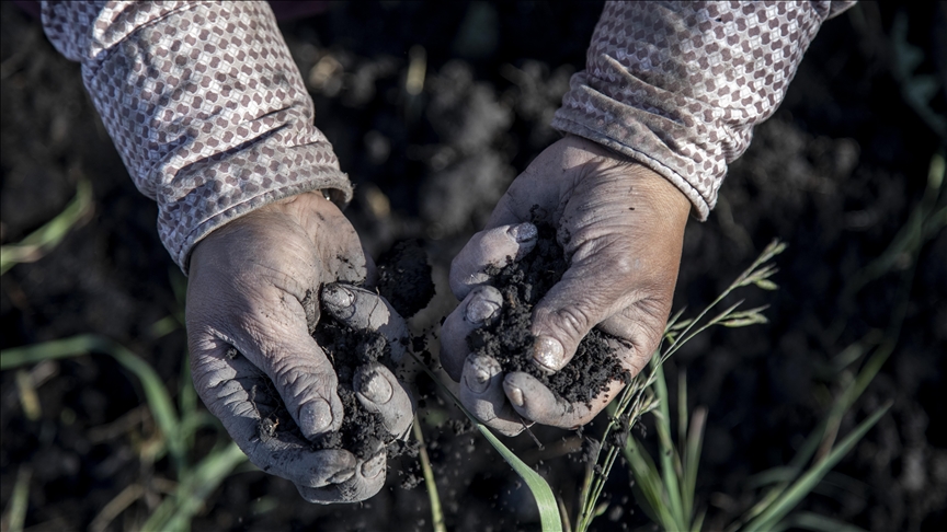 Ancient DNA: Study shows 70–100% ancestry turnover in most of Europe from Anatolian farmers