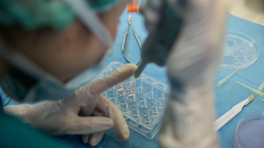 Американската „Гилеад сајансис“ го презема развивачот на лекови против рак „Арселкс“ за 7,8 милијарди долари